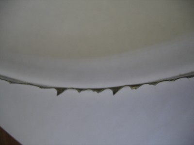 Picture 015.jpg