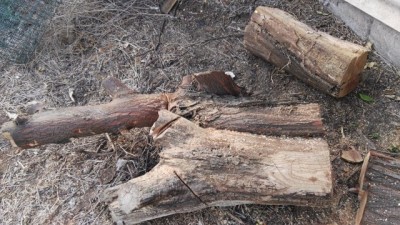 IMG_20160921_174651[1].jpg