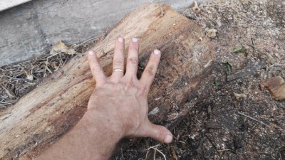 IMG_20160921_174742[1].jpg