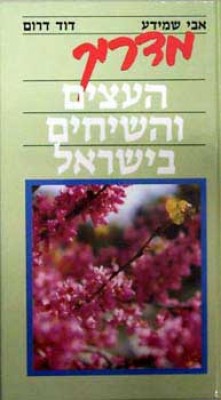 מדריך עצים.jpg