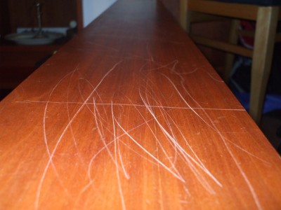 DSCF0736.jpg