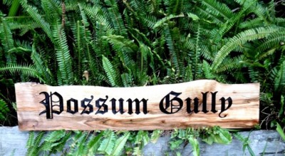 possumgully.jpg