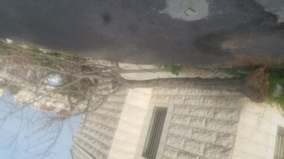 20180209_084431.jpg