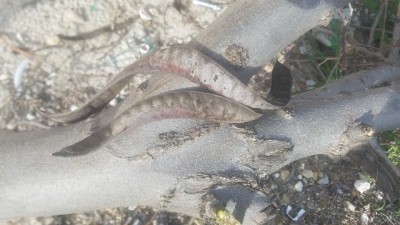 20180209_084506.jpg