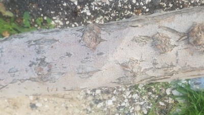 20180209_084437.jpg