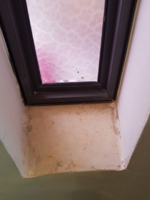 20180224_090654.jpg