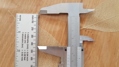 Caliper.jpg