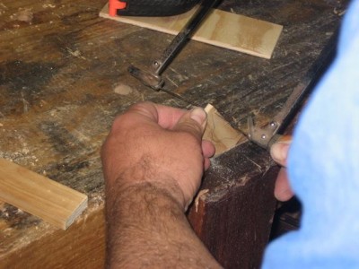 IMG_1984.jpg