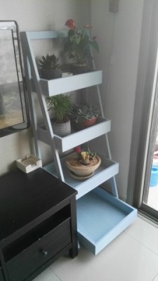 IMG-20180505-WA0005.jpeg