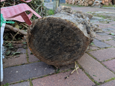 Screenshot_20190201-141653-1074x806.png