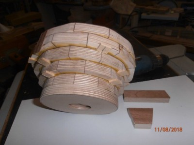 birch 2.jpg
