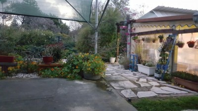 20190414_192409.jpg