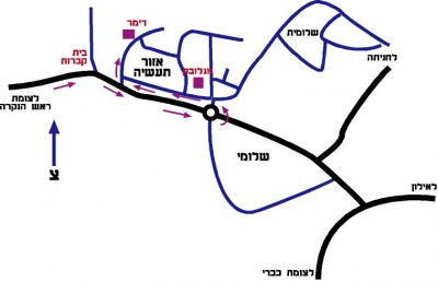 מפת הגעה לדימר.jpg