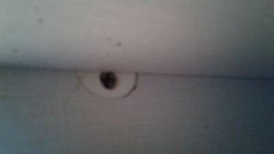 20191127_193233.jpg