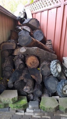 IMG-20181130-WA0011.jpeg