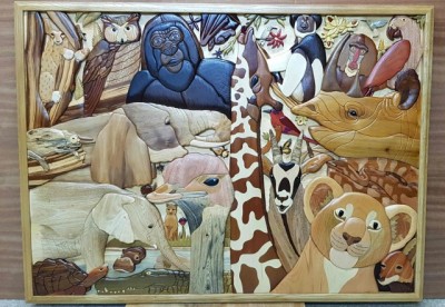 African adventure.jpg