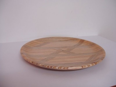plate  20080630.JPG