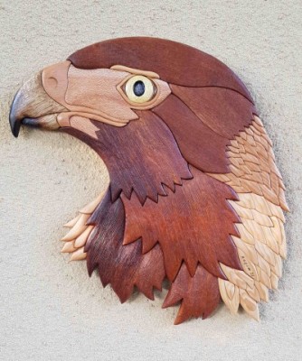 eagle1.jpg