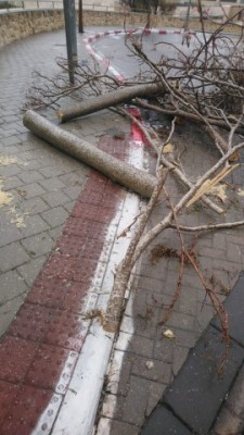 WhatsApp Image 2022-01-28 at 08.07.26.jpeg