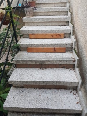 20250114_064912.jpg (71.05 KiB) נצפה 3147 פעמים 20250114_064912.jpg