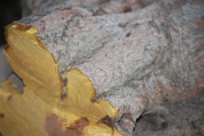Picture 001.jpg