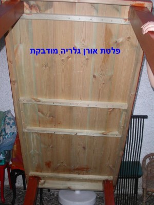 1.JPG