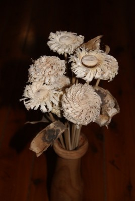 DSC00147.JPG