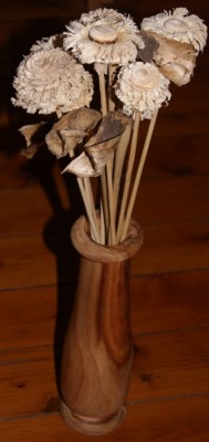 DSC00148.JPG