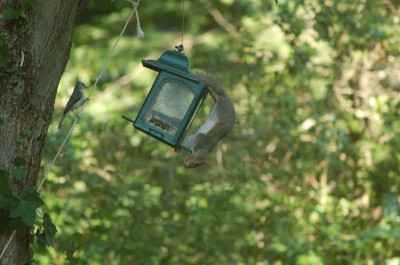 DSC_2517.JPG