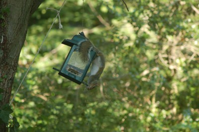 DSC_2513.JPG