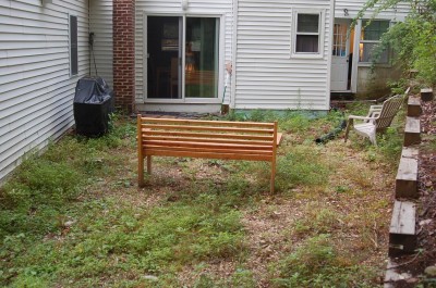 DSC_2534.JPG