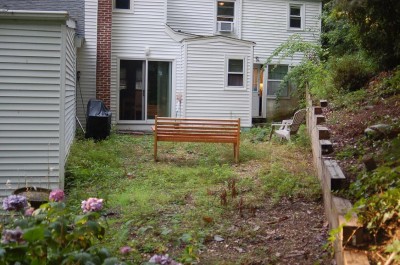 DSC_2532.JPG