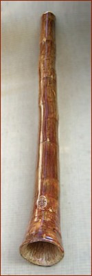 5B.jpg