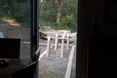 DSC_2541.JPG