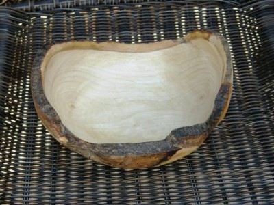 PB010771.JPG
