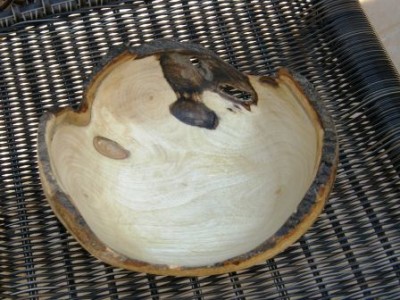 PB010772.JPG