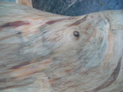 DSCN0882.JPG