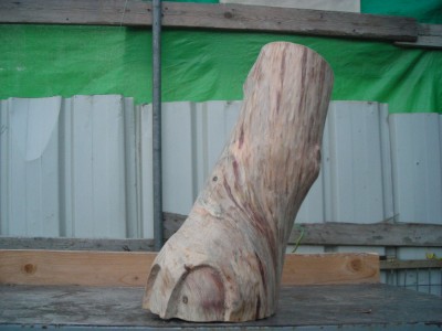 DSCN0879.JPG