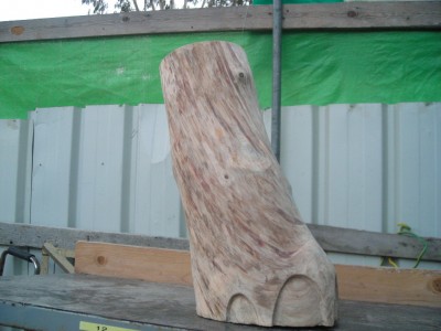DSCN0878.JPG