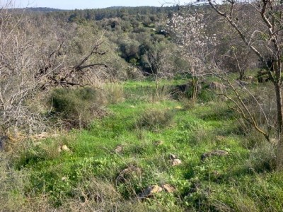 2011-02-14 09.21.48.jpg