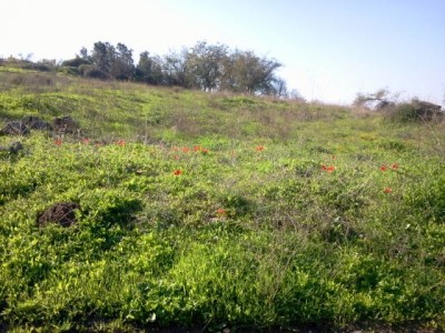 2011-02-14 09.18.49.jpg