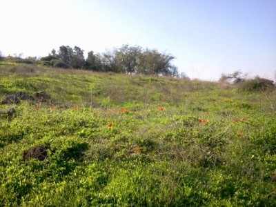2011-02-14 09.18.42.jpg