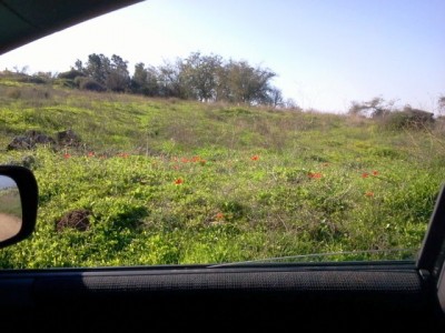 2011-02-14 09.18.33.jpg