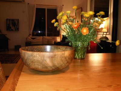 IMG00178-20110215-2143.jpg