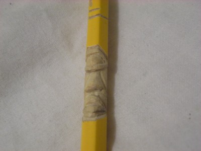DSCN1087.JPG