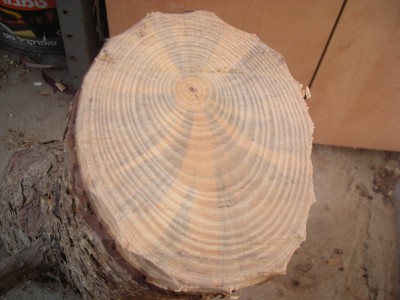 DSCN1215.JPG