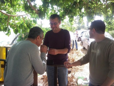 , תביא שכטה.jpg