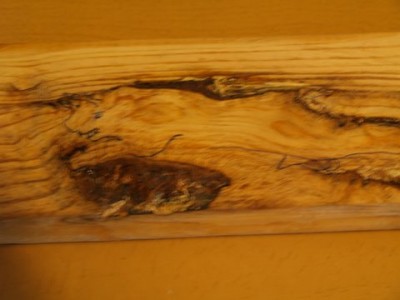 tigerwood.JPG
