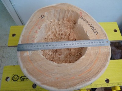 P890.jpg