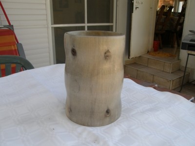 PA200168.JPG